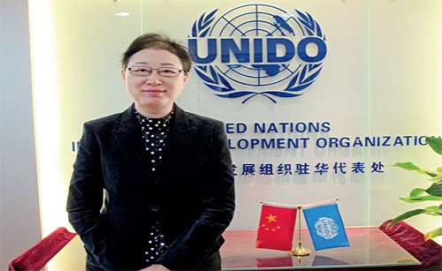 联合国工发组织代表梁丹介绍新丝绸之路的计划